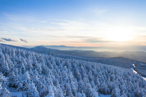 Views of the snow monster and mountains landscape at Zao onsen with sunset in winter, Japan