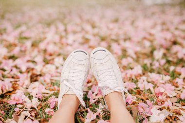 Parkta pembe çiçekli, çimlerin üzerinde beyaz ayakkabılar. Bahar mevsiminde yeşil bahçede trompet ağaçları ya da Tabebuia gülleri