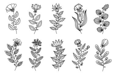 Tasarım projeleriniz için etiket, bayrak, logo, sembol, broşür vs....