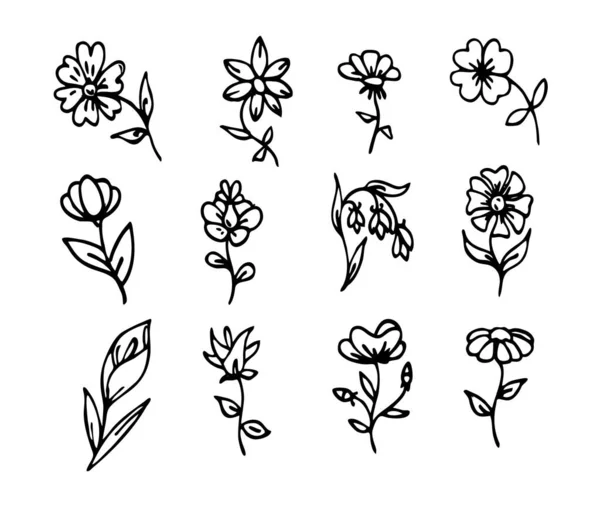 Vector Doodle Floral Set Χειροποίητο Σχέδιο Συλλογή Απλών Λουλουδιών Ασπρόμαυρη — Διανυσματικό Αρχείο