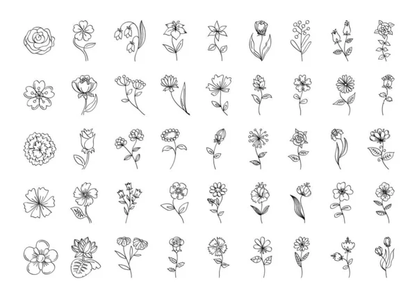 Διάνυσμα Floral Set Περίγραμμα Μαύρα Λουλούδια Απλή Γραμμή Τέχνης Floral — Διανυσματικό Αρχείο