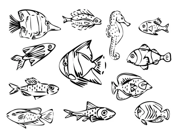 Vector Fish Line Art Illustration Set Illustration Contour Noir Isolé — Image vectorielle