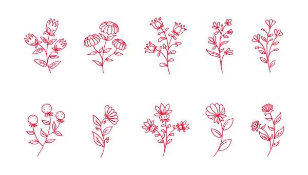 Διάνυσμα Λουλούδια Γραμμή Τέχνης Ροζ Λουλούδια Απομονωμένα Floral Διακόσμηση — Διανυσματικό Αρχείο
