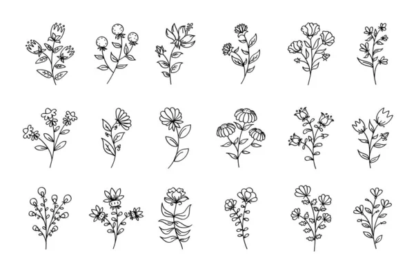 Insieme Vettoriale Fiori Fiori Linea Nera Illustrazioni Floreali Contorno Disegni — Vettoriale Stock