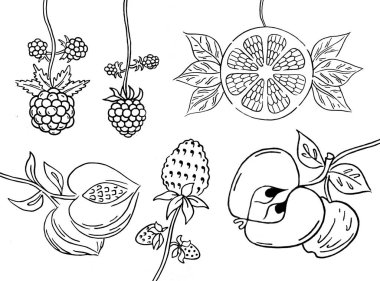 tasarım için meyve kümesi