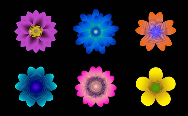 set of flowers on dark background glowing flowers