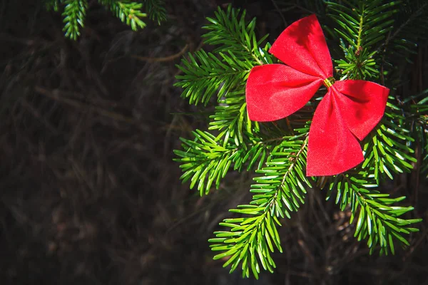 Arco Vermelho Uma Árvore Natal Jovem Floresta Com Espaço Cópia — Fotografia de Stock