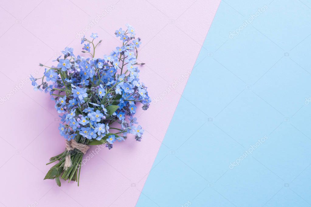 Forget me not flowers bouquet on blue and pink pastel background.