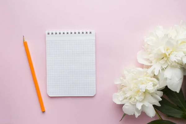 Bloc Notas Para Texto Flores Blancas Peonía Sobre Fondo Rosa — Foto de Stock