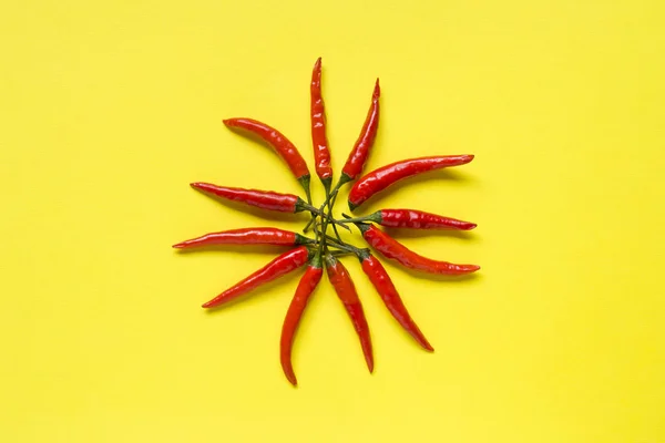 Red chili pepper pods on bright yellow background.