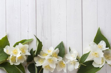 Yasemin çiçekleri hafif bir arka plan üzerinde. Çiçek çerçeve. Metin için yer kopyalayın.