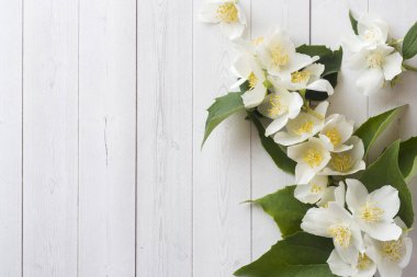 Yasemin çiçekleri hafif bir arka plan üzerinde. Çiçek çerçeve. Metin için yer kopyalayın.