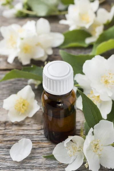 Oil of jasmine. Aromatherapy with jasmine oil. Jasmine flowers.
