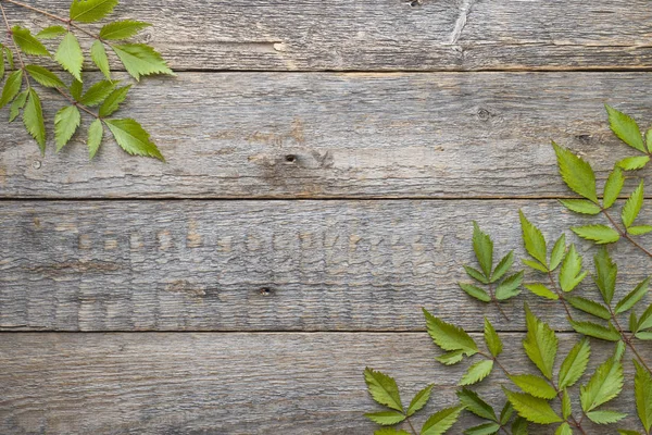 Πράσινα Φύλλα Ξύλινο Υπόβαθρο Έννοια Καλοκαίρι Επίπεδη Lay Top View — Φωτογραφία Αρχείου
