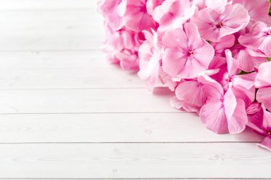 Beyaz masaya pembe Phlox çiçek. Metin için boş alan.