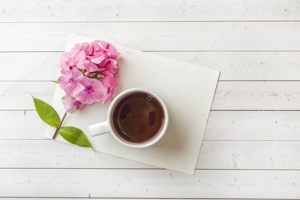 Pink Phlox flowers and a Cup of coffee on a white table. Free space for text.