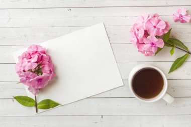 Pembe Phlox çiçekler ve bir fincan kahve beyaz bir tablo. Metin için boş alan.