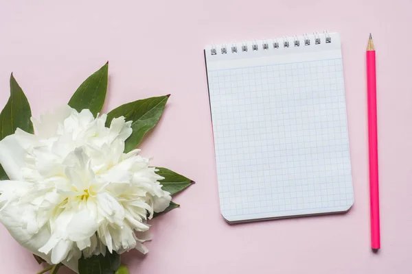 Notepad for text white flowers peony cherry berries on pastel pink background