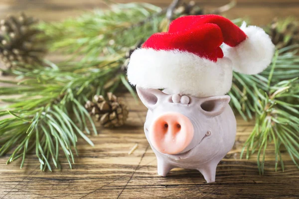 Noel Baba'nın şapkalı Ladin dalları ile ahşap bir masa üzerinde komik domuz bul. Yeni 2019 sembolü