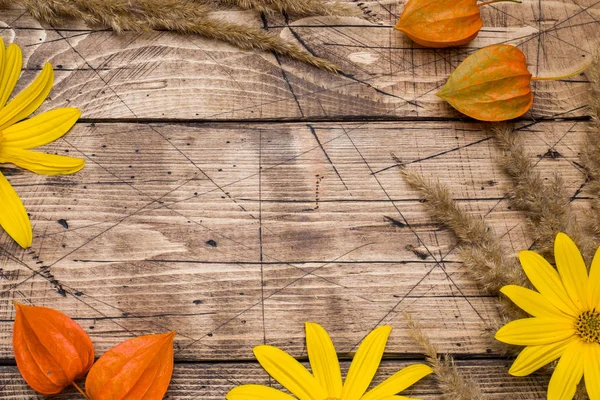 Herbstblumen Auf Holzgrund Mit Kopierraum — Stockfoto