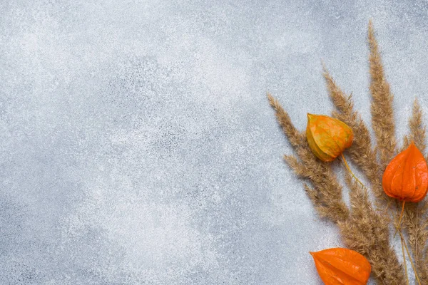 Herbstblumen Auf Dem Tisch Mit Einer Kopie Des Raumes — Stockfoto