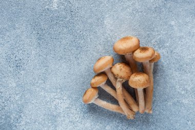 Mantar ham honeydew beton bir tablo