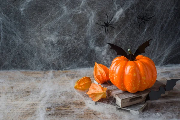Sütőtök Denevérek Pókok Halloween Szelektív Összpontosít Másolja Hely — Stock Fotó