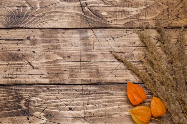 Herbstblumen Auf Holzgrund Mit Kopierraum — Stockfoto