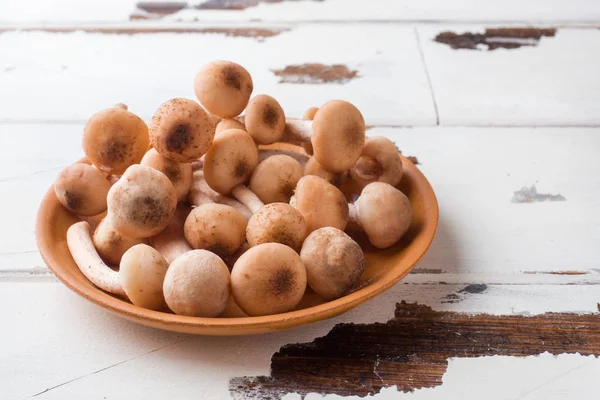 Yabani Mantar Ham Bal Agaric Ahşap Bir Masa Üzerinde Bir — Stok fotoğraf