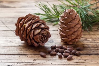 Sedir kozalakları ve ahşap zemin üzerine fındık. Seçici odak. Kopya alanı.