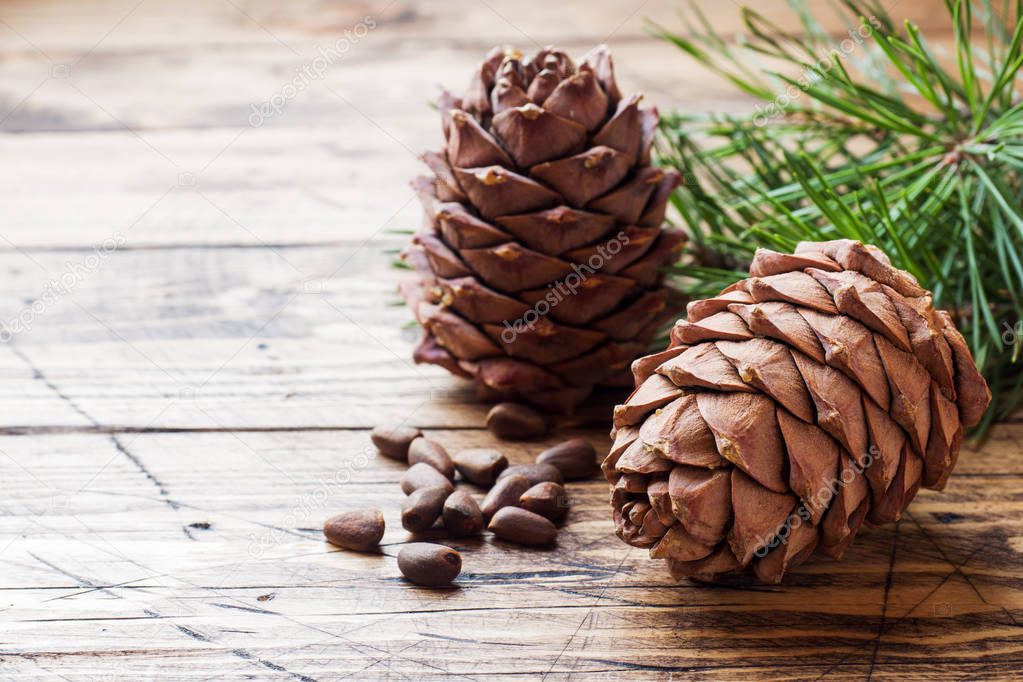 Cedar cones and nuts on wooden background. Selective focus.Copy space.