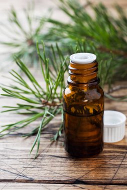 Sedir ve ladin esans ahşap arka plan üzerinde küçük cam şişelerde. Seçici odak