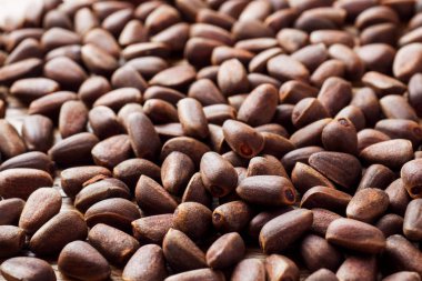 Çam fıstığı arka plan. Seçici odak. Kopya alanı.