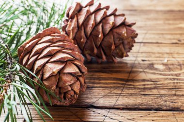 Çam kozalakları ve ahşap arka plan dallarda çeki düzen vermek. Seçici odak. Kopya alanı.