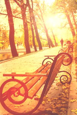 Şehir Park, tezgah güneş sonbaharda. Görüntü.