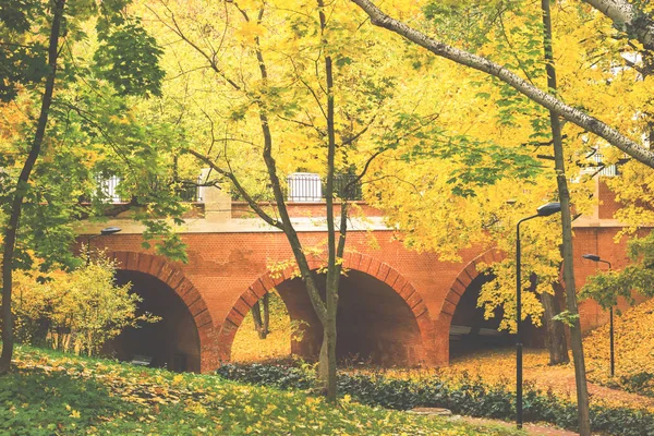 Podzim Městě Park Stromy Žlutém Listoví — Stock fotografie