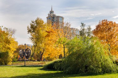 Şehir parkında sonbahar, sarı yapraklı ağaçlar