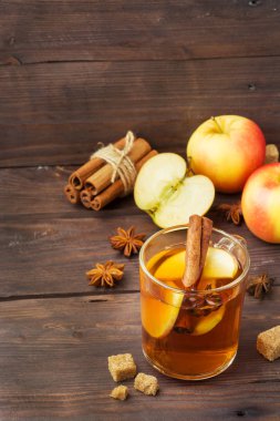 Cam bardağı tarçın, anason ve elma ile yapılan mulled şarap elma şarabı. Kokteyl bar kavramı