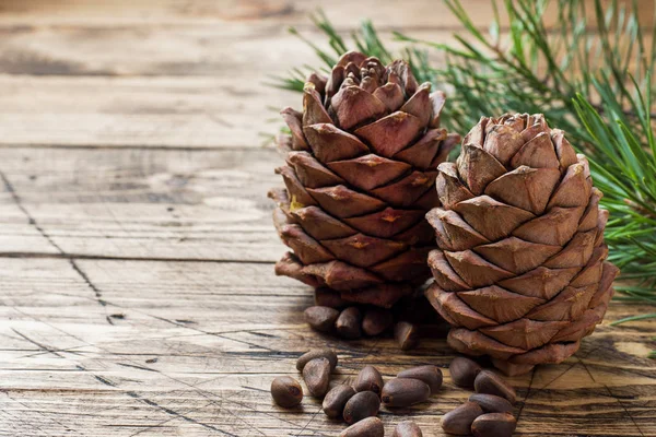 Cedar Cones Nuts Wooden Background Selective Focus Copy Space — Stock Photo, Image