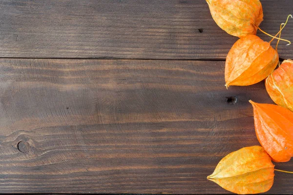 Autumn Concept Wooden Background Yellow Bright Physalis Copy Space — Stock Photo, Image
