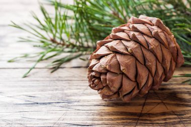 Çam kozalakları ve ahşap arka plan dallarda çeki düzen vermek. Seçici odak. Kopya alanı.