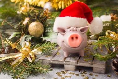 Domuz Noel ağaçları arka plan üzerinde Noel Baba şapkalı bir rakam. Noel süsleri. Yeni yıl kavramı.