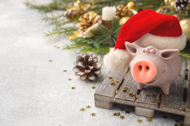 Domuz Noel ağaçları arka plan üzerinde Noel Baba şapkalı bir rakam. Noel süsleri. Yeni yıl kavramı.