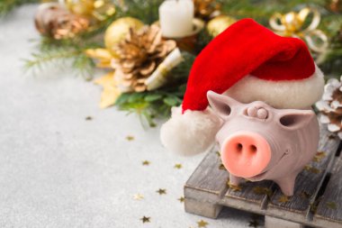 Domuz Noel ağaçları arka plan üzerinde Noel Baba şapkalı bir rakam. Noel süsleri. Yeni yıl kavramı.
