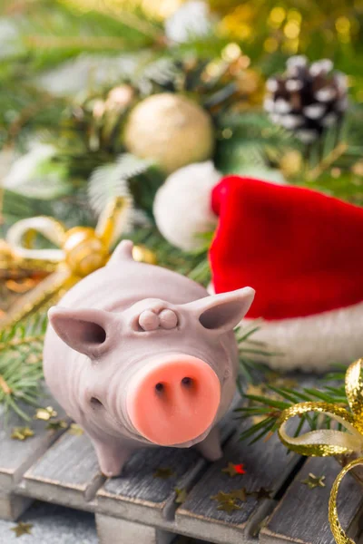 Domuz Noel ağaçları arka plan üzerinde Noel Baba şapkalı bir rakam. Noel süsleri. Yeni yıl kavramı.