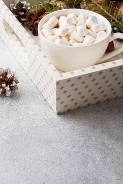 Sıcak çikolata hatmi tarçın çubukları, anason, fındık ahşap tepsi, Noel kavramı ile.