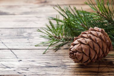 Çam kozalakları ve ahşap arka plan dallarda çeki düzen vermek. Seçici odak. Kopya alanı.