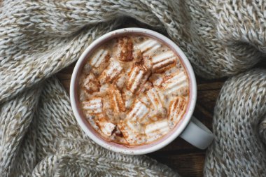 Noel kompozisyon. Sıcak çikolata ve Çerezler, Çamın dalları, tarçın ve anason yıldız. Noel Kış konsepti. Düz yatıyordu üstten görünüm.
