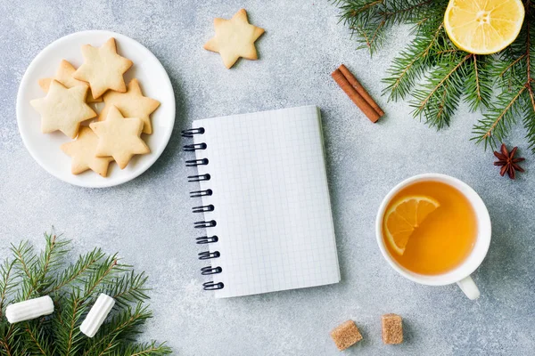 Csésze Tea Cookie Kat Fenyő Ágak Fahéjat Csillag Ánizs Karácsony — Stock Fotó