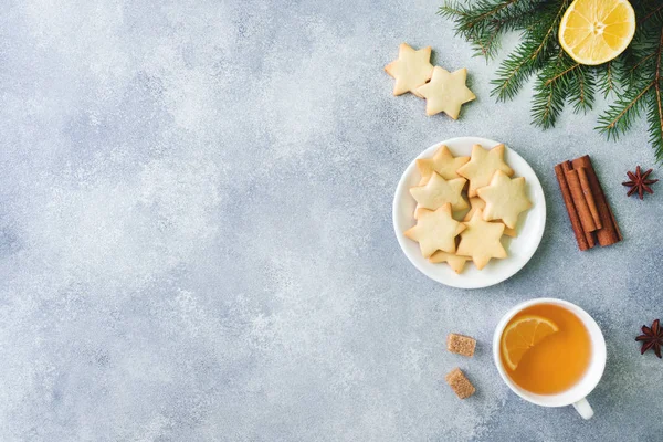 Csésze Tea Cookie Kat Fenyő Ágak Fahéjat Csillag Ánizs Karácsony — Stock Fotó